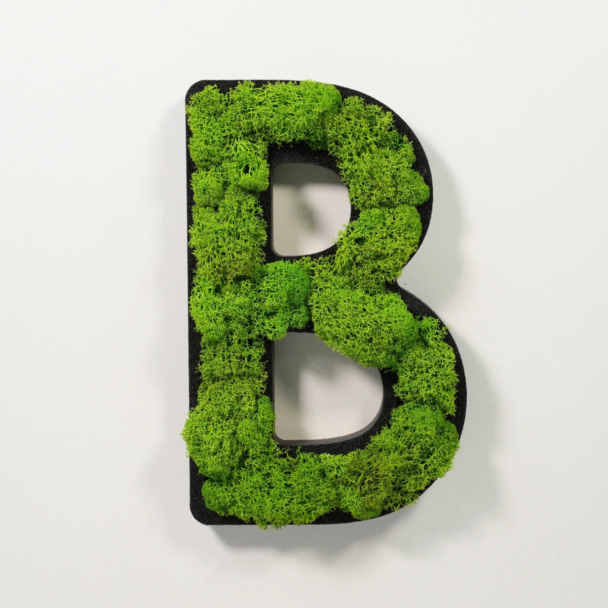 Moosbuchstabe B aus echtem Islandmoos, 32 cm hoch, grüne Wanddekoration