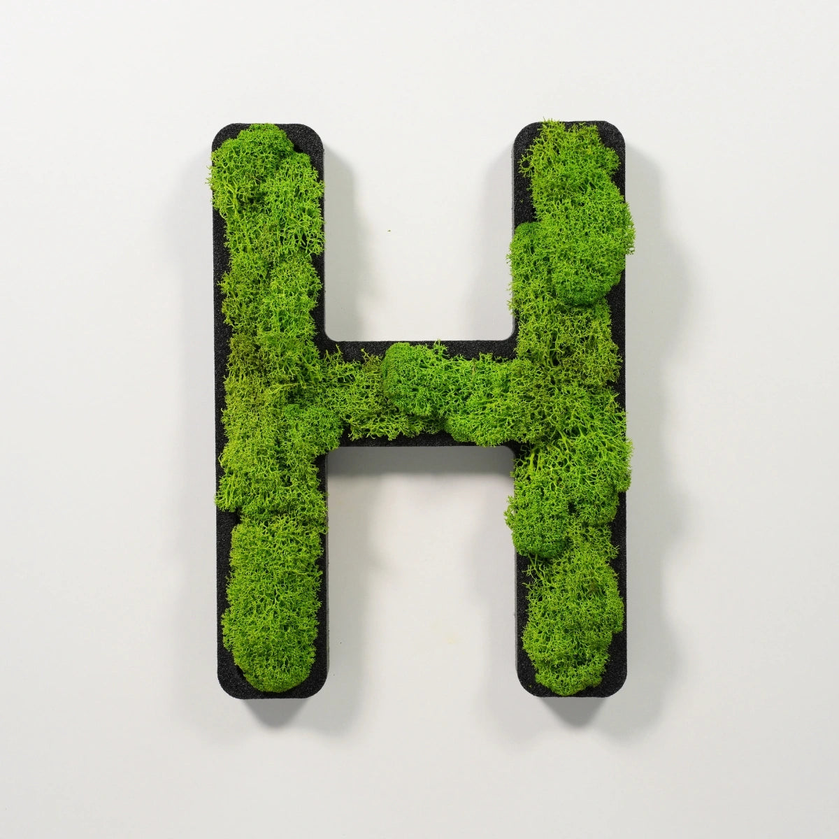 Moosbuchstabe H aus echtem Islandmoos, 32 cm hoch, grüne Wanddekoration