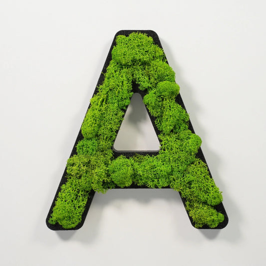 Moosbuchstabe A aus echtem Islandmoos, 32 cm hoch, grüne Wanddekoration
