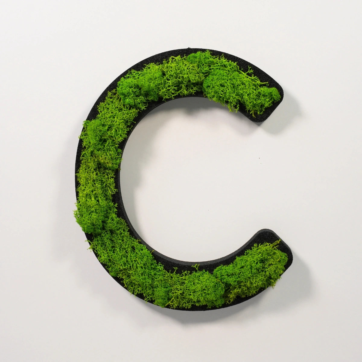Moosbuchstabe C aus echtem Islandmoos, 32 cm hoch, grüne Wanddekoration