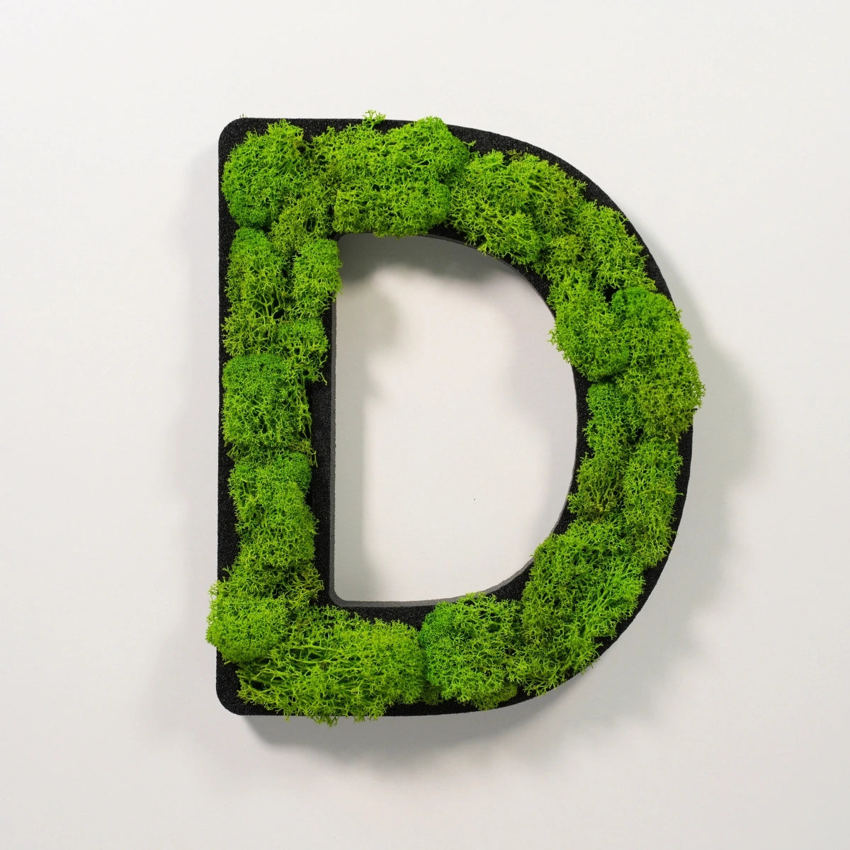 Moosbuchstabe D aus echtem Islandmoos, 32 cm hoch, grüne Wanddekoration