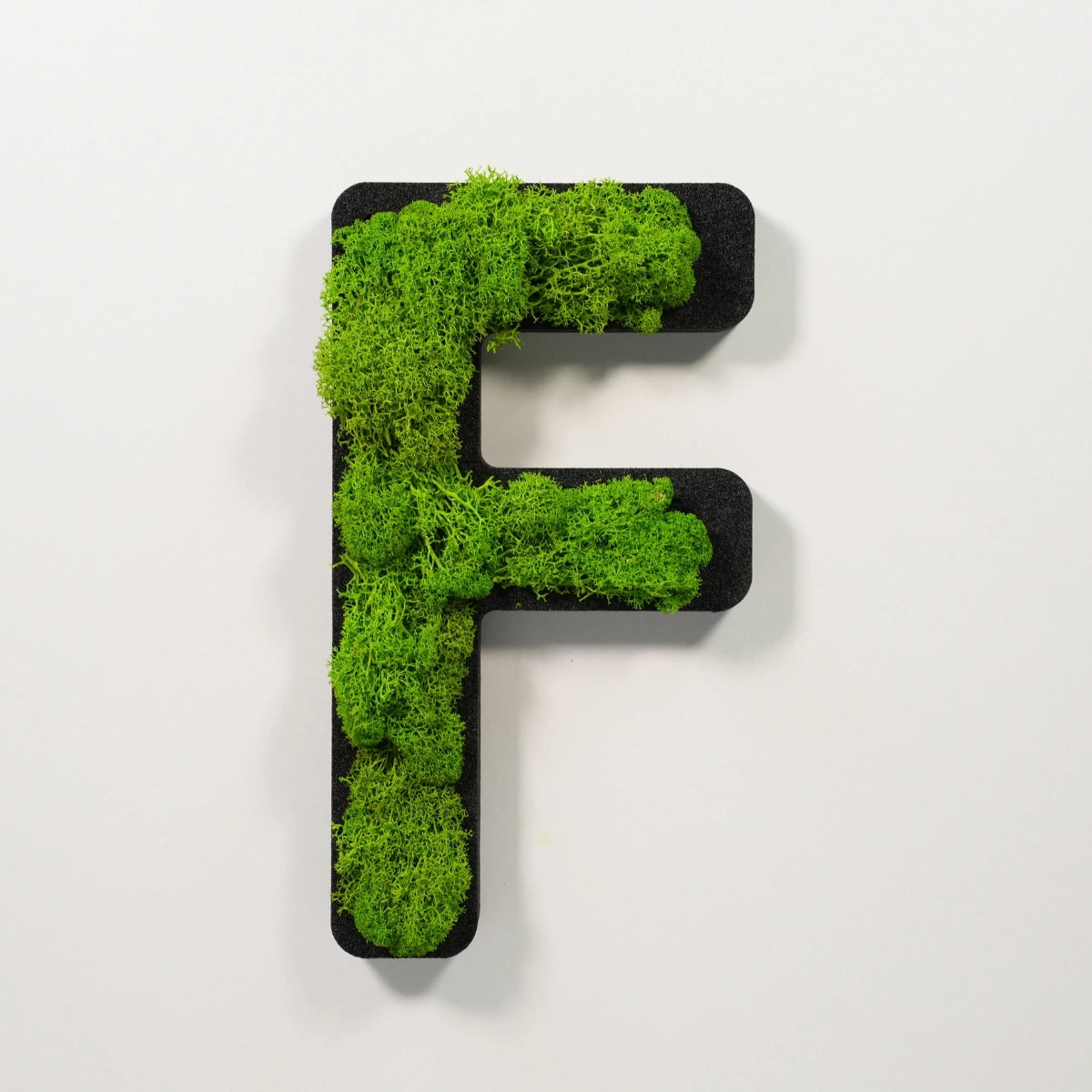 Moosbuchstabe F aus echtem Islandmoos, 32 cm hoch, grüne Wanddekoration