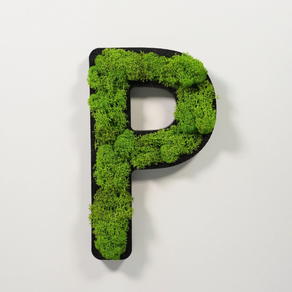 Moosbuchstabe P aus echtem Islandmoos, 32 cm hoch, grüne Wanddekoration