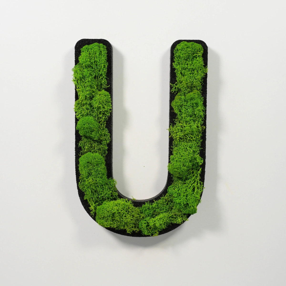 Moosbuchstabe U aus echtem Islandmoos, 32 cm hoch, grüne Wanddekoration