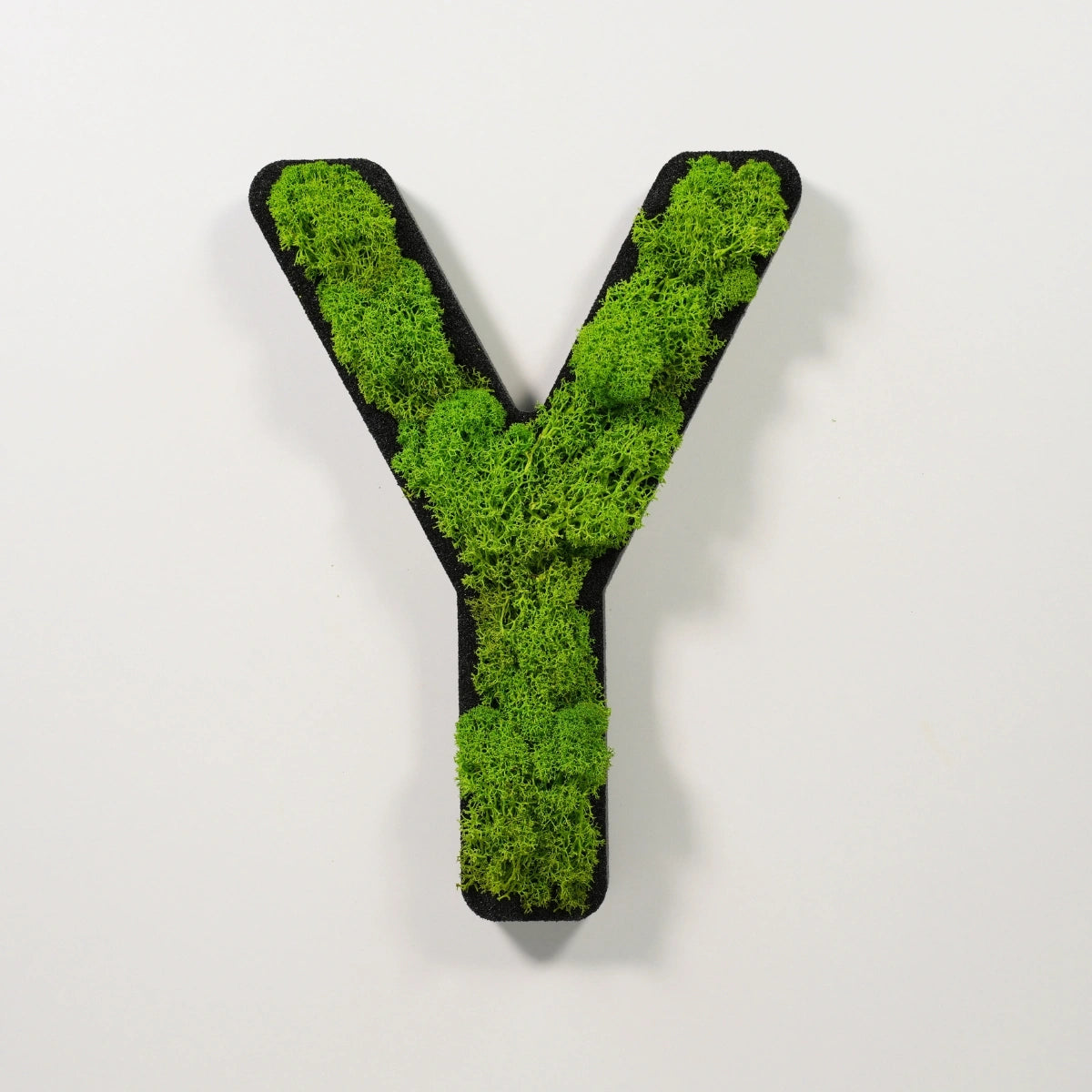 Wanddeko Moosbuchstabe Y in leuchtendem Grün für Büro oder Wohnzimmer